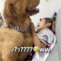 満足気なロックさん