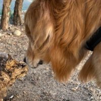 距離を詰めると…