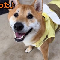 帰宅後の笑顔♪