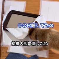 「ここに隠してたの」
