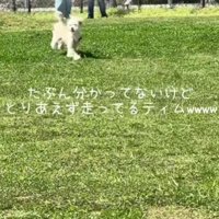 とにかく走る！！