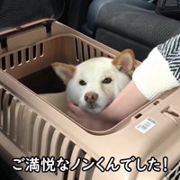 車に乗って一緒にお家へ♪