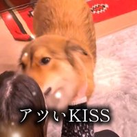 ラッキーくんの態度の違い⑩