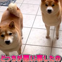 いたずら事件が勃発！