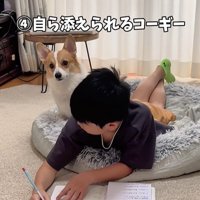 宿題中の男の子とココちゃん7