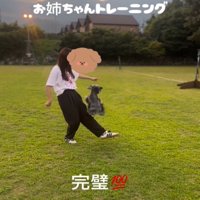 ジャンプする犬2