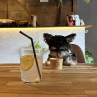 カフェ