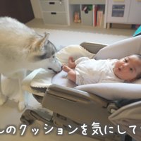 「ここ汚れてる！」