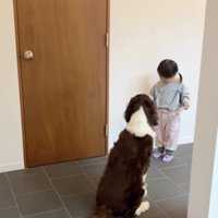 「おすわり！」