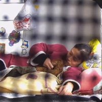 飼い主の腕枕で眠る犬