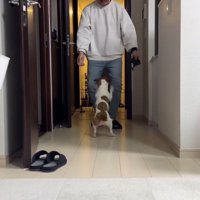 男性の足に自分の前足をかける犬