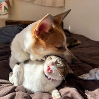 まめちゃんが構ってアピール！？