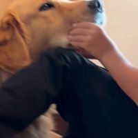 伝えたいことがたくさんある…