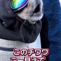 バイクまで乗りこなす