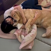 ちょっとだけゴロゴロ