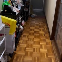 隠れている小型犬