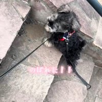 少しだけ自力で上れました♪