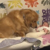 腰を下ろしたと思ったら…