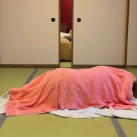 必死にホリホリ