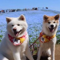 公園におでかけ