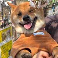 元気になってよかったね！！