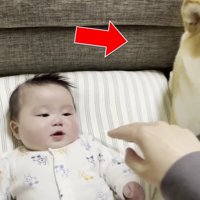 厳しい眼差し…