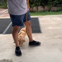 足元をちょろちょろ…