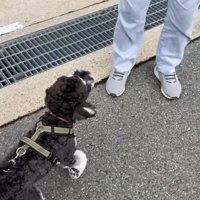 ガードマンのおじさんと出会ったテオくん