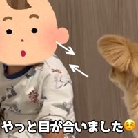 目が合いました！