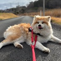 「ちょっぴり一休み」