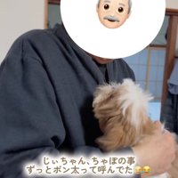 抱っこされる犬