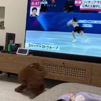 クルクル回り始めた