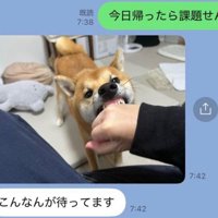 ムキ顔のふうたくん