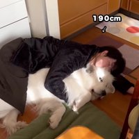 大柄なパパもこの通り