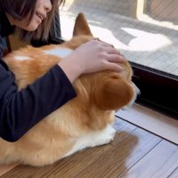 ジノくんを撫でるお姉ちゃん