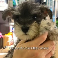 もなかちゃんの成長2