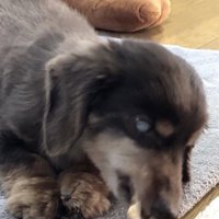 出逢えてよかった