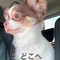 「ママはどこ行ったの…」