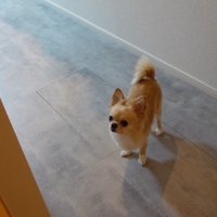 寂しそうなお目目でじーっ