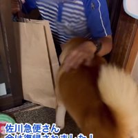 復帰したばかりとのこと