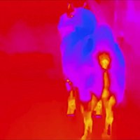 お尻と足が温かそう…！