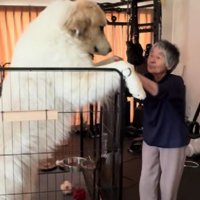 目が錯覚を起こしそう…