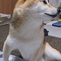 「なにか変かな？」