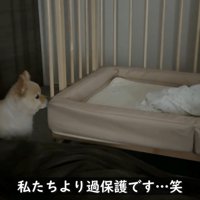 また赤ちゃんの様子を確認