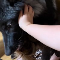 ご家族が止めても…