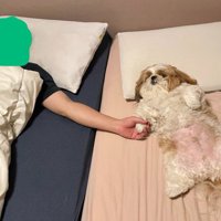 夫と手を繋いでスヤスヤ