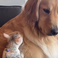 本当の親子のよう…