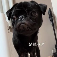 足元を見てみると…