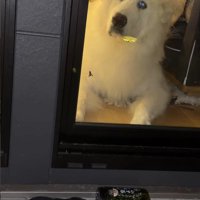 「絶対仕留めるから見てて！」