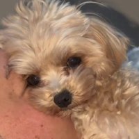 パパと密着して幸せそう